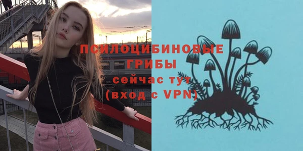 шишки Богданович