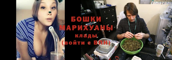 шишки Богданович