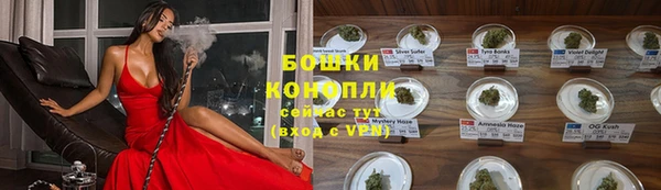шишки Богданович