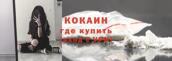 шишки Богданович