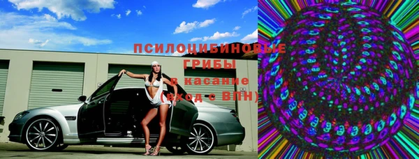 шишки Богданович