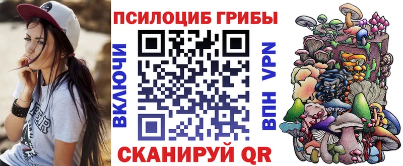 Псилоцибиновые грибы Psilocybe Очёр